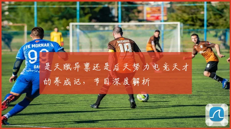 是天赋异禀还是后天努力电竞天才的养成记,节目深度解析